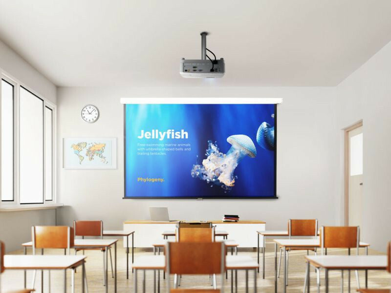 Viewsonic PA504W data projector Standard throw projector 4000 ANSI lumens DLP WXGA (1280x800) White