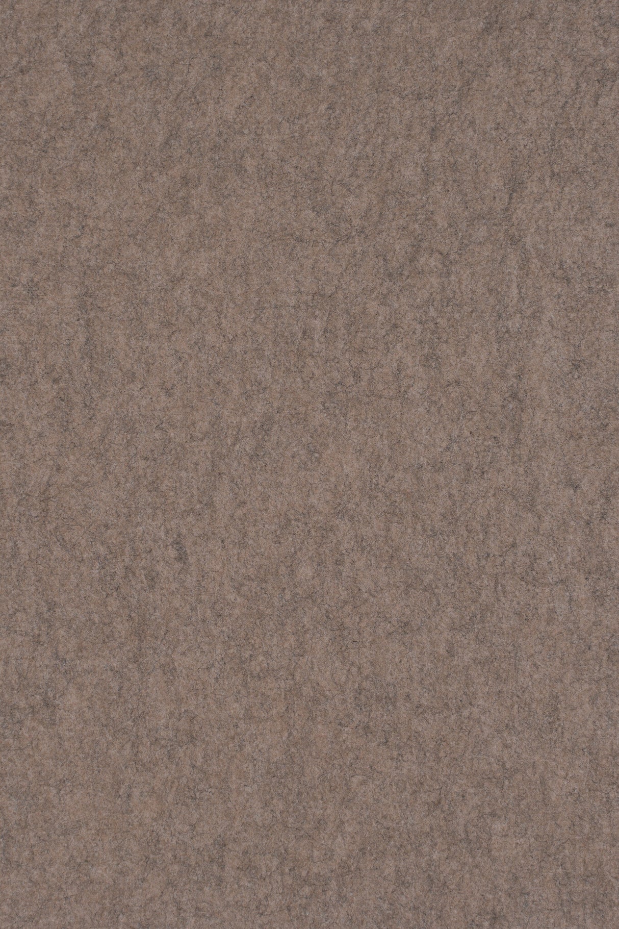 Middle Atlantic Focal Point TruTile TruTileTM Designs Acoustic Wall Tile in Limestone, Double Arc