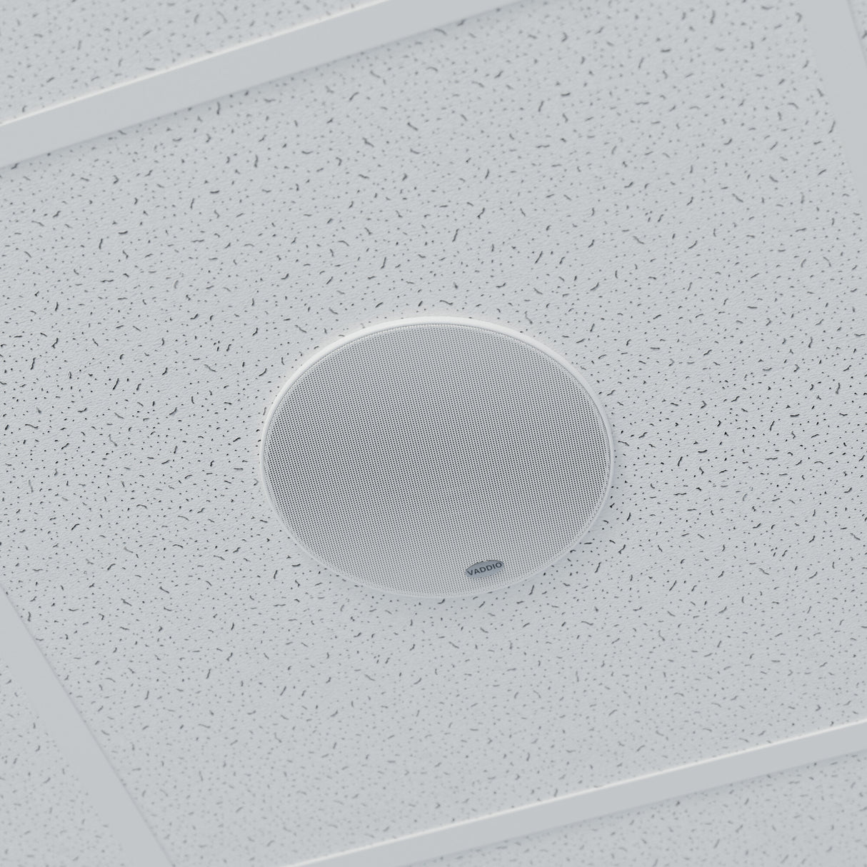 Vaddio Ceiling Speakers