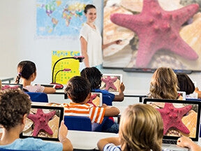 Lumens DC193 document camera Red 25.4 / 3 mm (1 / 3") CMOS USB 2.0