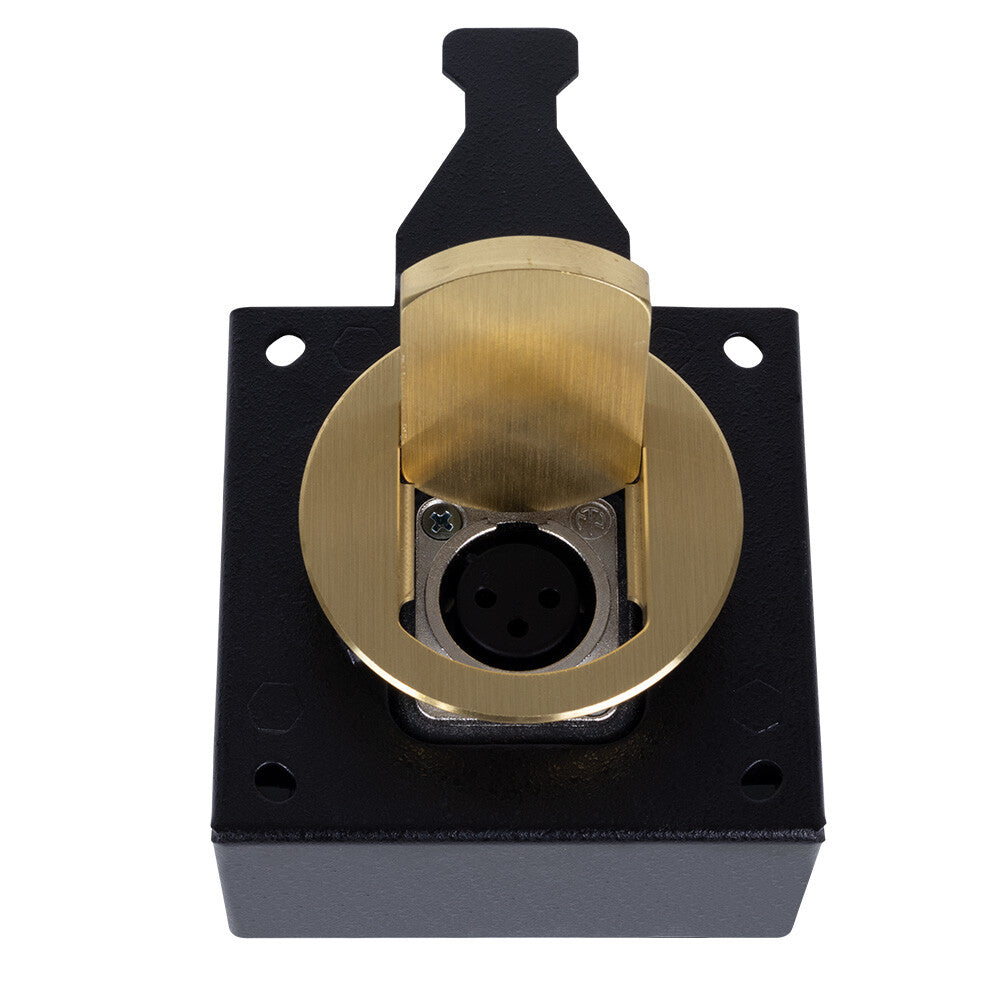 FSR T3-MJ+BRS outlet box XLR Black, Brass