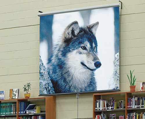 Draper Luma projection screen 193 cm (76") 16:10