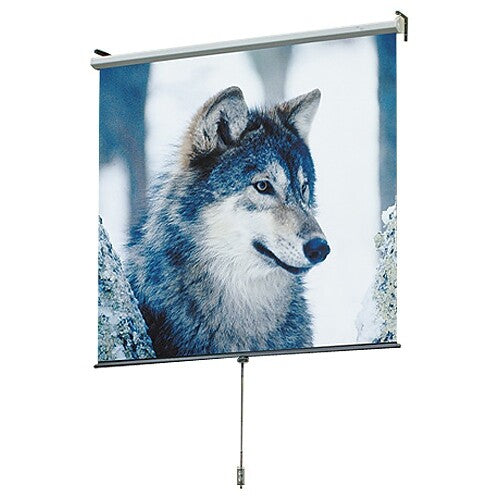 Draper 207007 projection screen 182.9 cm (72") 4:3
