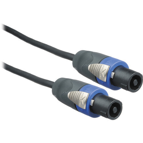 Anchor Audio SC-100NL audio cable 30.5 m Speakon Black