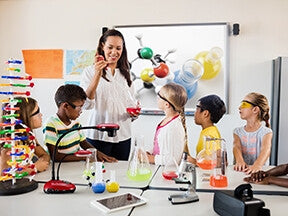 Lumens DC193 document camera Red 25.4 / 3 mm (1 / 3") CMOS USB 2.0