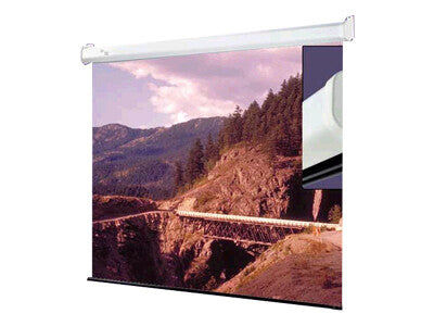 Draper Luma projection screen