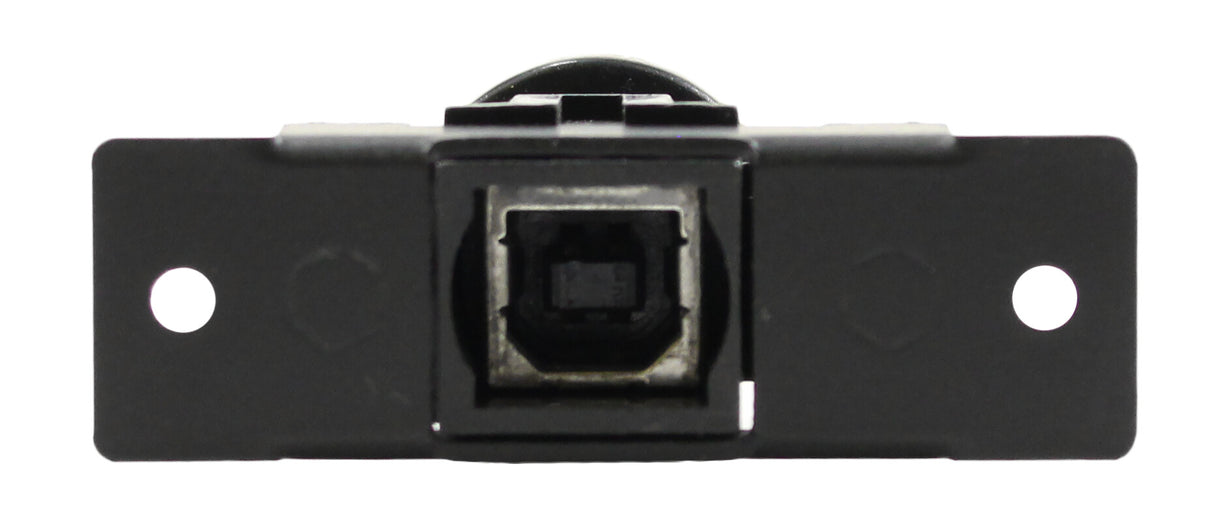 FSR IPS-D719S-BLK socket-outlet USB B Black