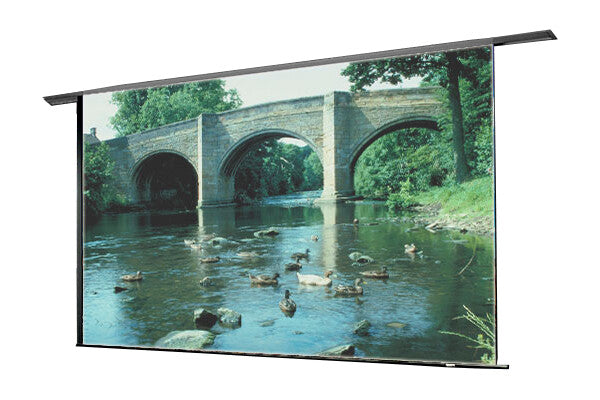 Draper Ultimate Access E, 119", HDTV, Matt White XT1000E, 110 V, with LVC-IV Low Voltage Controller