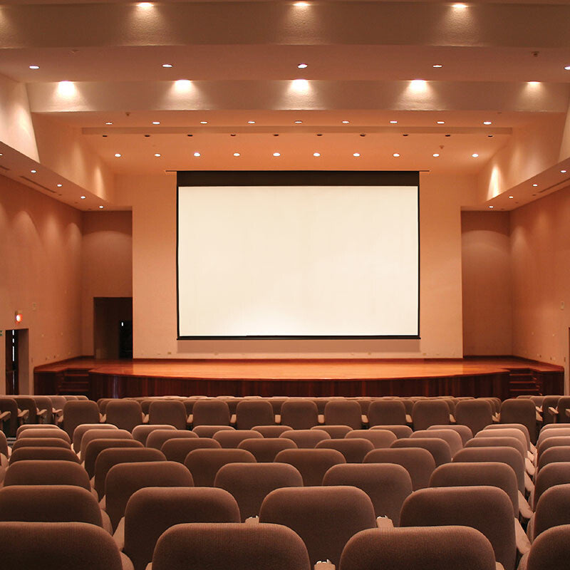 Draper 146009U projection screen 7.49 m (295") 4:3