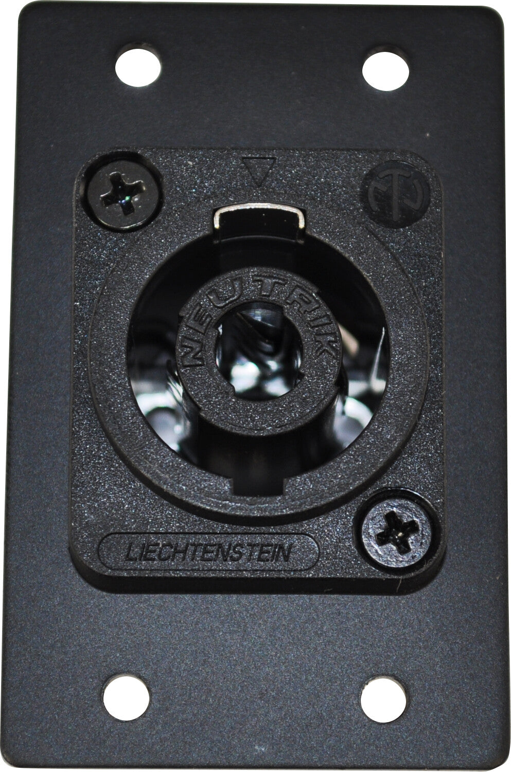 FSR IPS-A613D-BLK socket-outlet Speakon Black