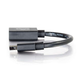 C2G 0.5ft (0.15m) Mini DisplayPortTM Male to DisplayPortTM Female Adapter Converter 4K 30Hz - Black