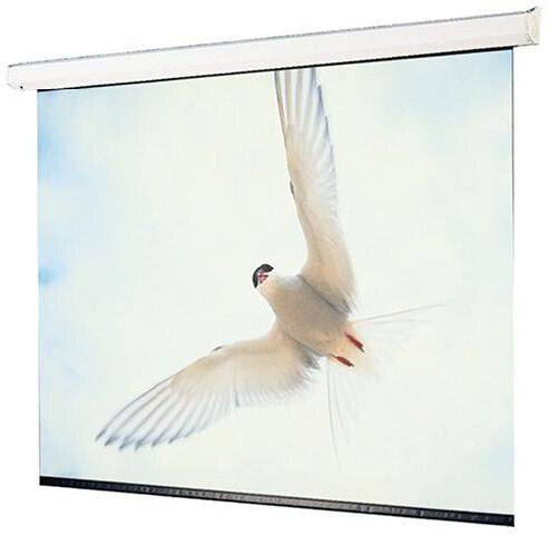Draper Targa projection screen 3.12 m (123") 16:10