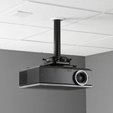Chief SYSAUB Suspended Ceiling Projector System