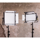 ikan RB10-2PT-KIT photo studio continuous lighting