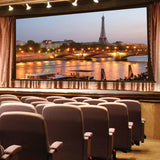 Draper Paragon V Electric Projection Screen