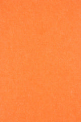 Middle Atlantic Focal Point TruTile TruTileTM Designs Acoustic Wall Tile in Carrot, Wide Rule