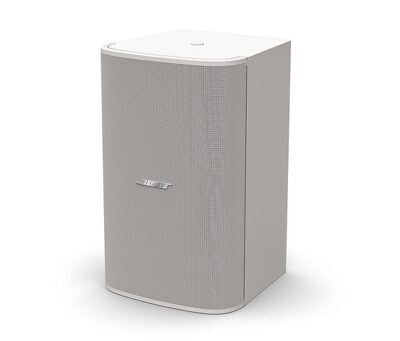 Bose DM10S-Sub White Wired 250 W