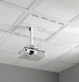 Chief CMS492C project mount Ceiling Stainless steel, White