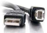 C2G USB 2.0 A/B Cable Black 5m USB cable USB A USB B