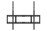 Optoma 75IN + FP WALL MOUNT 2.49 m (98") Black