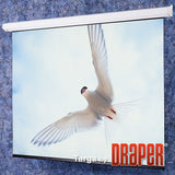 Draper Targa projection screen 5.08 m (200") 4:3
