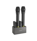 Televic Unite DS-4/2