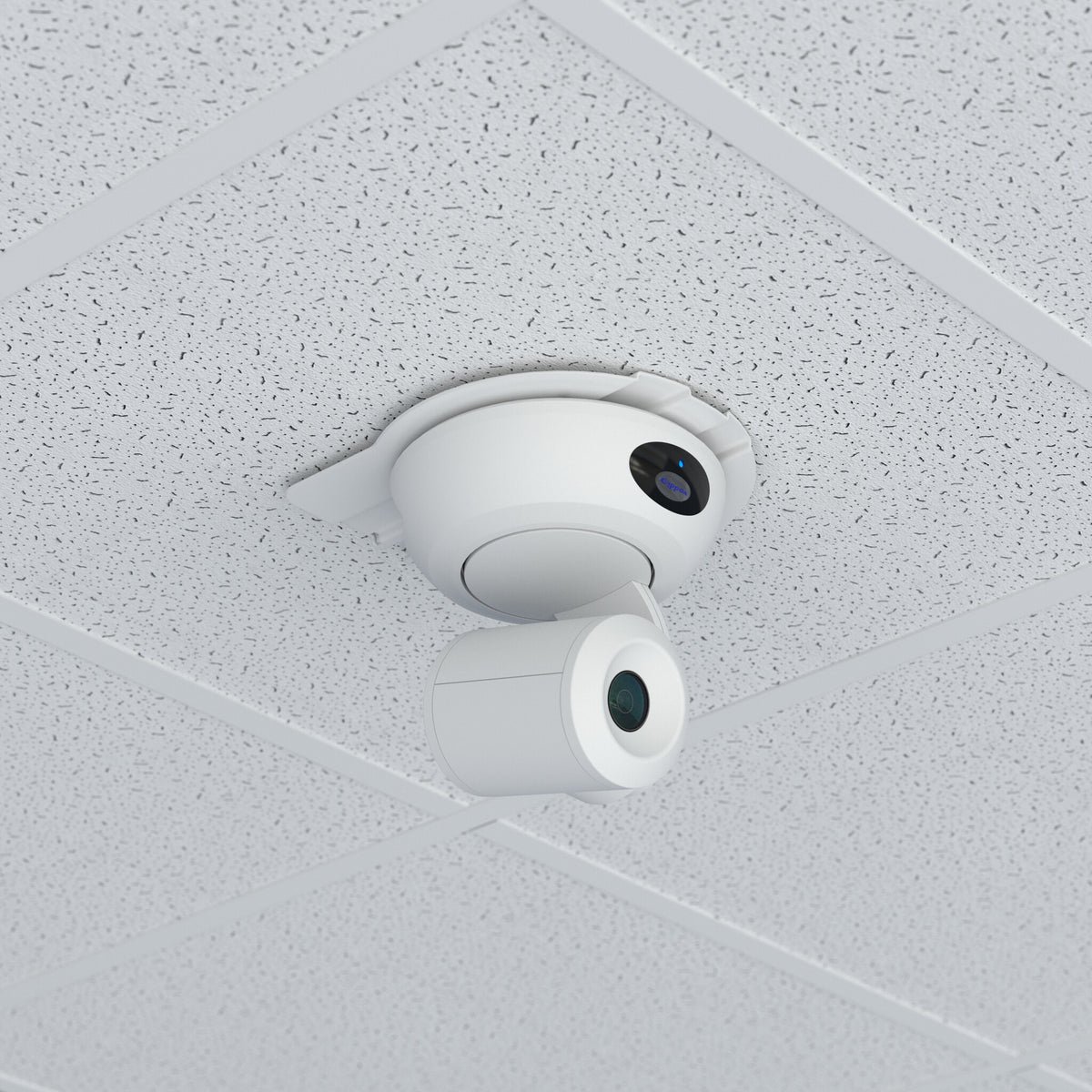 Chief Speed-Connect Universal Above Tile Suspended Ceiling Camera Mount Kit