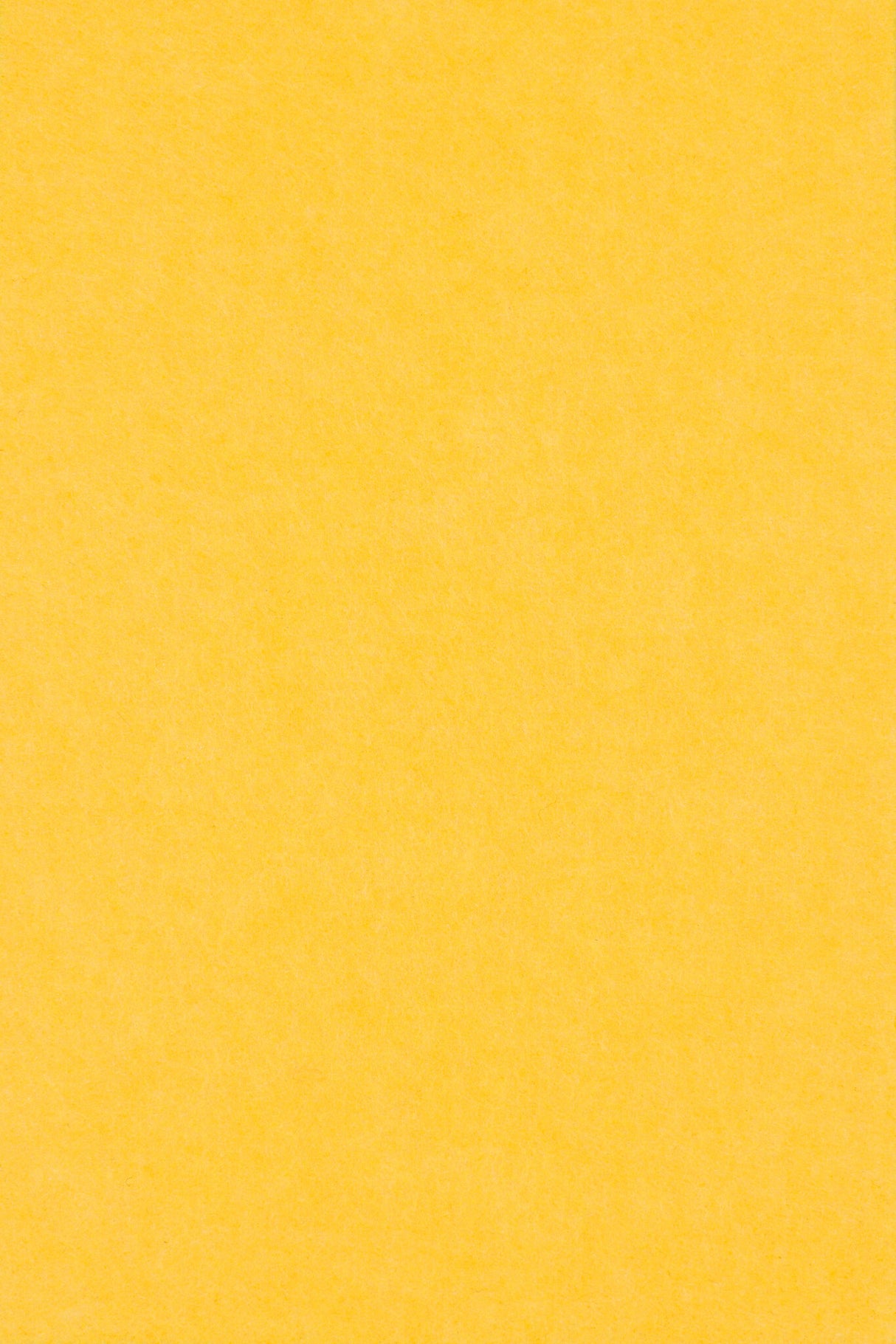 Middle Atlantic Focal Point TruTile TruTileTM Designs Acoustic Wall Tile in Pineapple, Double Arc
