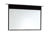 Draper Access E, 10ft, NTSC, Matt White XT1000E, 220 V