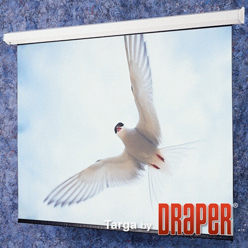 Draper Targa projection screen 2.69 m (106") 16:9
