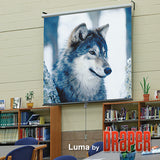 Draper Luma projection screen 3.05 m (120") 4:3