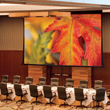 Draper Paragon V projection screen 7.8 m (307") 16:10