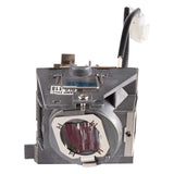 Viewsonic RLC-118 projector lamp