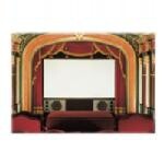 Draper Cineperm projection screen 2.77 m (109") 16:10