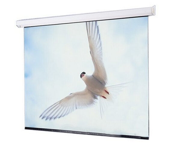Draper Targa projection screen 5.33 m (210") 4:3