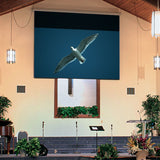 Targa, 184in, HDTV, ClearSound White Weave XT900E, 110 V, with Quiet Motor and LVC-IV Low Voltage Controller