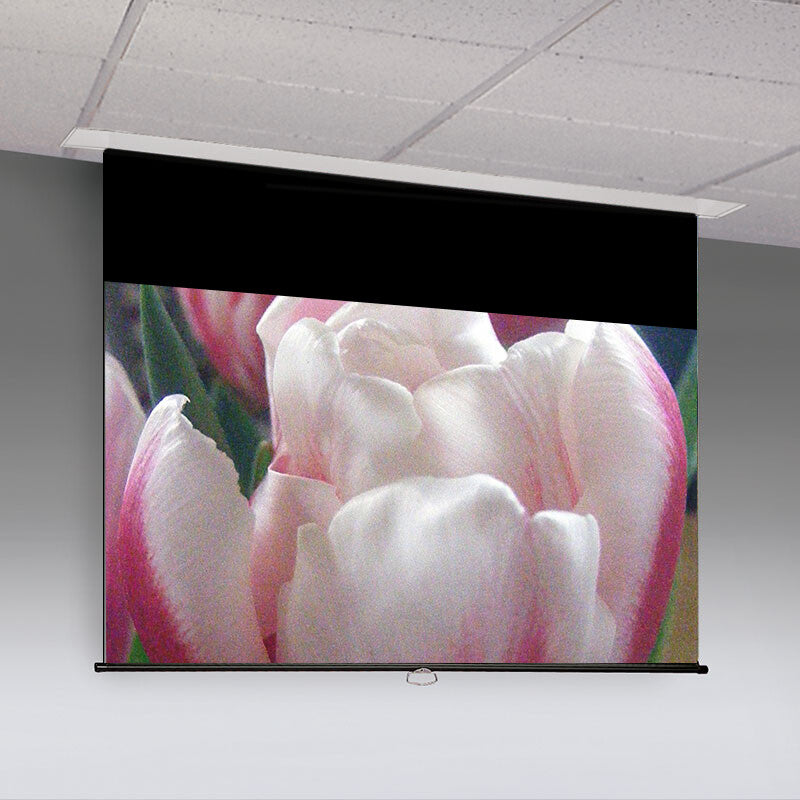 Draper Access M projection screen 4.57 m (180") 4:3