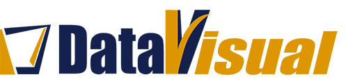 data-visual-logo